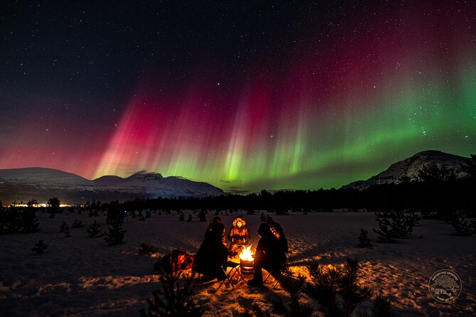 Private Northern Lights Chase with Photography from Tromsø - What to Do With Your Expectations on a 6 to 9 Hour Night