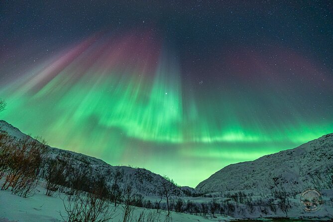 Private Northern Lights Chase with Photography from Tromsø - Value and Price: Is $2,094.22 per Group Worth It?