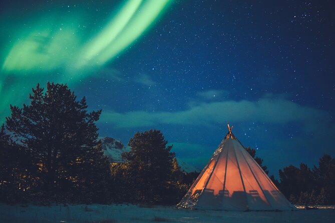 Private Northern Lights Experience - Finland Border Stops, Plus When the CEO Nudges the Plan