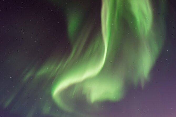 Private Northern Lights Experience - Campfire Break in the Woods, Hot Drinks, and Time for Photos
