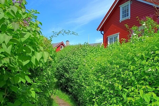 Private Oslofjord Island Hopping Tour - Hovedøya: Monastery Ruins, Forest Walks, and Optional Beach Time