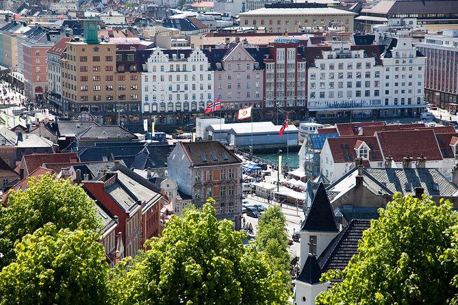 PRIVATE TOUR: Bergen city sightseeing, 3 hours - Gamle Bergen Museum (Bymuseet i Bergen): A Town Inside a Town