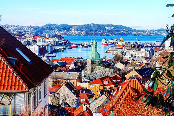 PRIVATE TOUR: Bergen city sightseeing, 3 hours - Mount Ulriken by Cable Car and Short Hike: Bergen From the Top