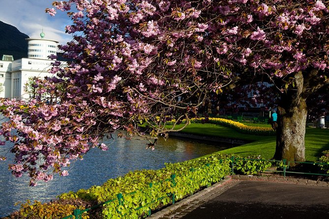 PRIVATE TOUR: Bergen city sightseeing, 5 hours - Bergen first look: Fløyen funicular and 45 minutes of views