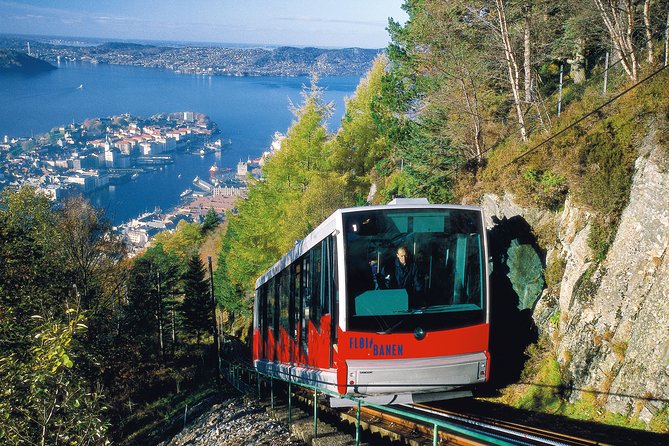 PRIVATE TOUR: Bergen city sightseeing, 5 hours - Fantoft stave church: a short stop that hits the iconic vibe
