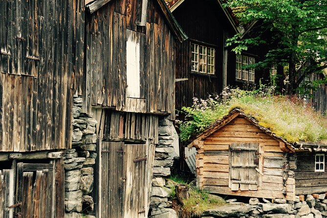 Private tour from Ålesund to Geiranger up to 15 people - Key highlights that make this tour work