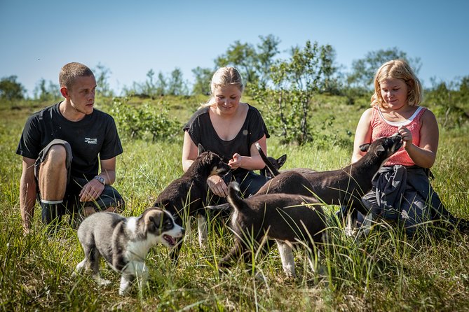 Puppy Training Experience at a Husky Farm in Tromso - Lunch at the Husky Farm: Fish Soup or Stew, Vegetarian Couscous, and Cake