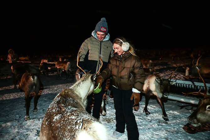 Reindeer Camp Dinner with Chance of Northern Lights in Tromso - Price and Value Around $210: What You Actually Get