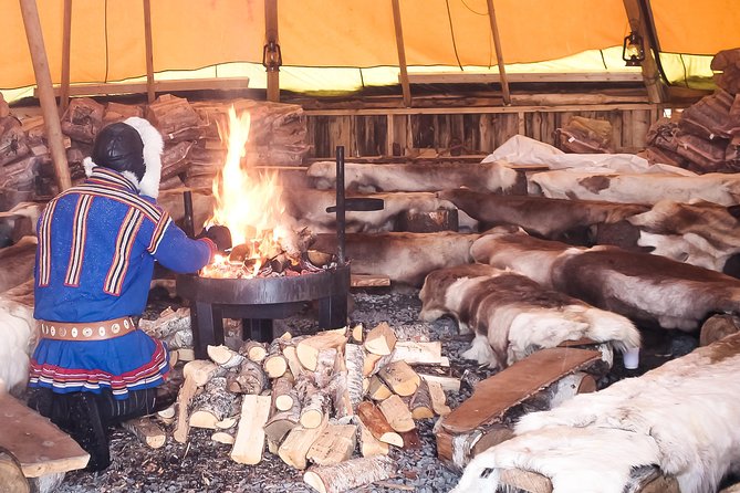 Reindeer Feeding and Sami Culture Including Lunch from Tromso - Value and price: is $145.53 a fair deal?
