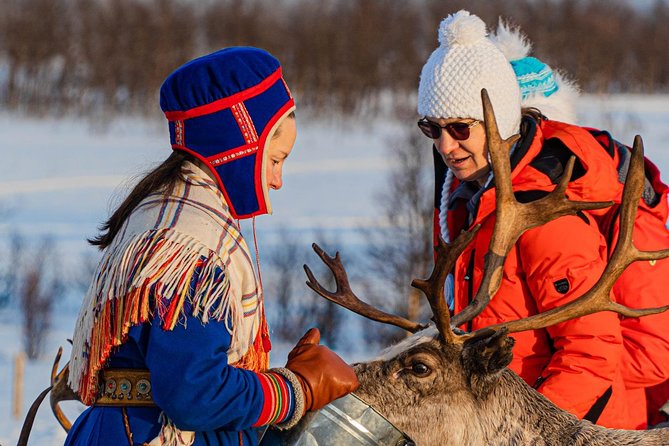 Reindeer feeding & Saami Culture - Tromsø to the Lyngen Alps camp: the half-day rhythm
