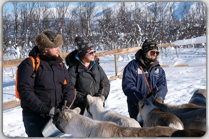 Reindeer feeding & Saami Culture - The Sámi culture talk: what you learn and why it matters