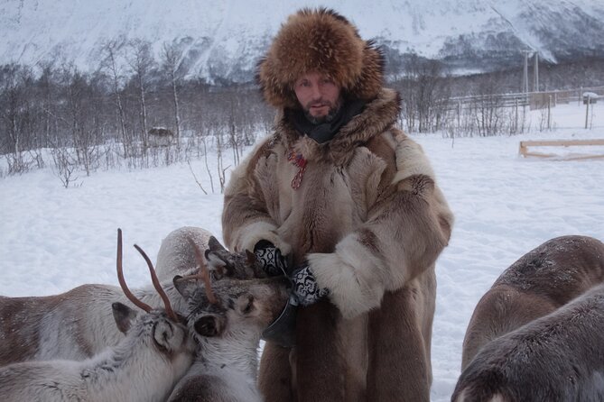 Reindeer feeding & Saami Culture - Lunch: reindeer stew, taste expectations, and how to make it work for you