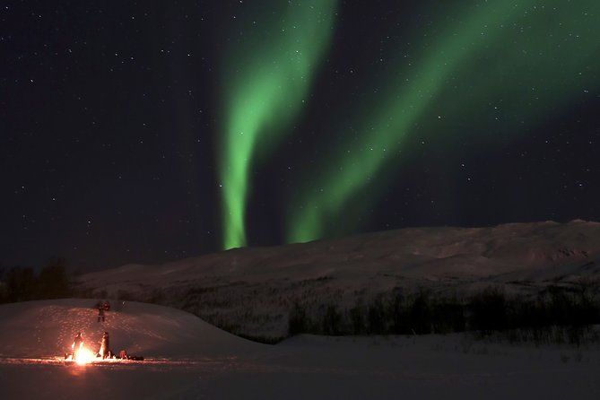 Reindeer feeding & Saami Culture with chance for Northern Lights - The Bottom Line: Should You Book This Reindeer and Sámi Night?