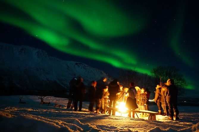 Reindeer feeding & Saami Culture with chance for Northern Lights - Feeding Time in a Sámi Camp: Reindeer Up Close, Lavvu Warm Up