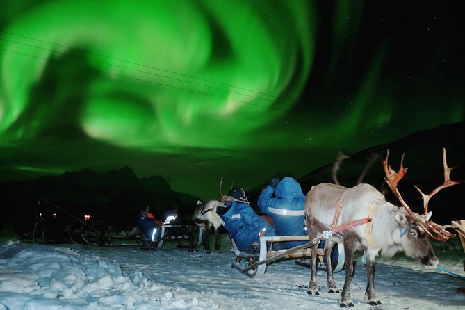 Reindeer Sledding and Feeding with Chance of Northern Lights Tromso - Getting to the Tromso Lapland camp without the headache