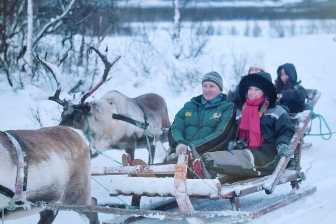 Reindeer Sledding and Feeding with Sami Culture in Tromso. - Reindeer Sledding and Sámi Culture in Tromsø: What You Really Get