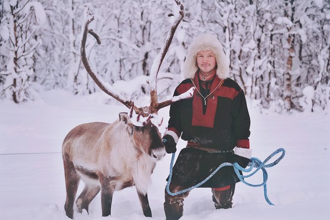 Reindeer Sledding and Feeding with Sami Culture in Tromso. - The 30-Minute Sled Ride: Weather Rules, Timing, and Refund Reality