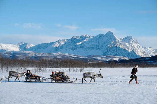 Reindeer Sledding and Feeding with Sami Culture in Tromso. - FAQ