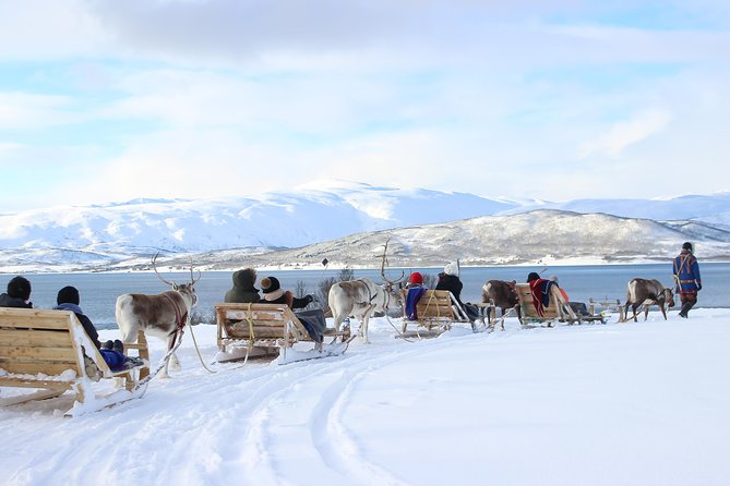 Reindeer Sledding Experience and Sami Culture Tour from Tromso - Sami culture stories and joik: what you’ll hear and why it matters