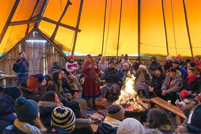Reindeer Sledding Experience and Sami Culture Tour from Tromso - Feeding about 300 reindeer: the highlight that feels more personal than you expect