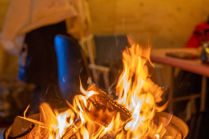 Reindeer Sledding, Feeding And Sami Culture At Reindeer Farm - Key things to know before you go