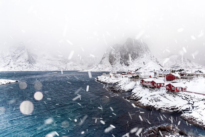 Reine, Hamnøy, Sakrisøy Photo Tour from Svolvær - Price and value: is $166.14 worth it?