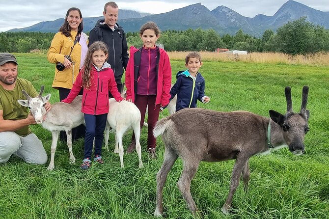 Sami Culture and Reindeer Cuddles Experience - English-Language Guide Style and What Group Size Means