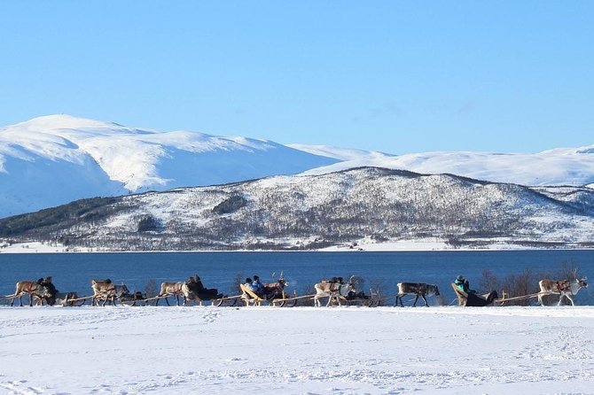 Sami Culture and Short Reindeer Sledding from Tromso - Transfers and timing: why being on time matters here