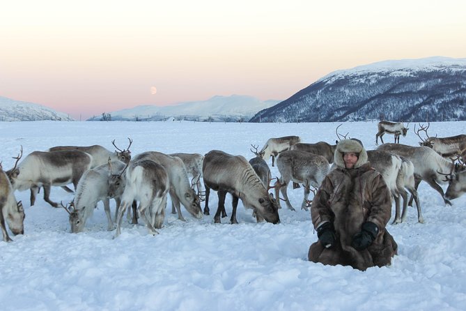 Sami Culture and Short Reindeer Sledding from Tromso - Who this tour suits best, and who should reconsider