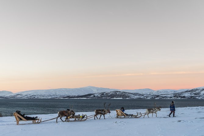 Sami Culture and Short Reindeer Sledding from Tromso - Quick tips to make it comfortable in Tromso winter