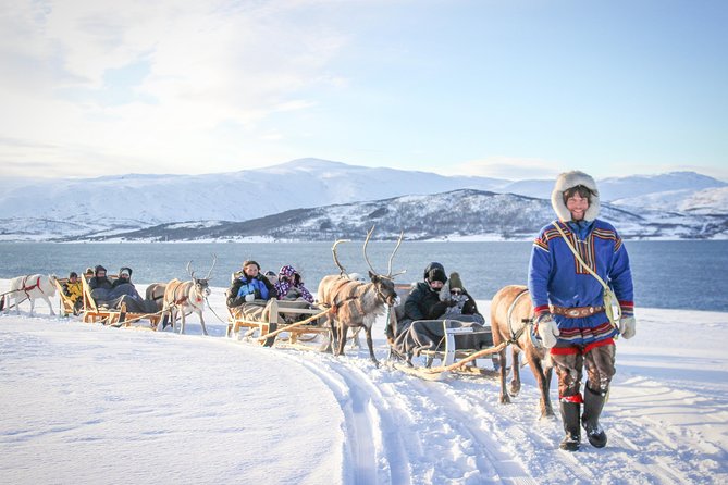 Sami Culture and Short Reindeer Sledding from Tromso - The short sleigh ride over snow, and how to think about its length