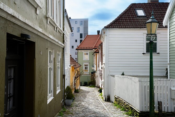 Scenic Bergen: Port to Port History, Alleys, & Bryggen Walk - A small-group walk with real personality (and English that lands)