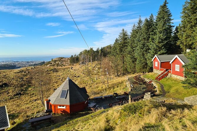 Scenic tour to Steinsfjellet, locals at Kringsjå & Rising Tide - Key highlights to know before you go