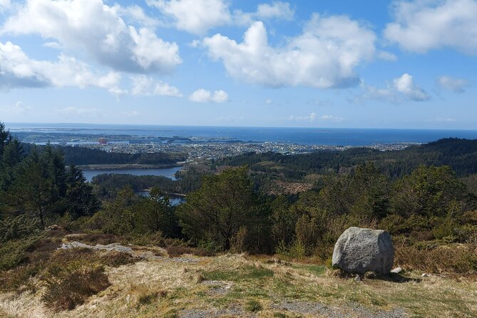 Scenic tour to Steinsfjellet, locals at Kringsjå & Rising Tide - Kringsjåhytta farm stop: Tom’s stories, coffee, and sheep time