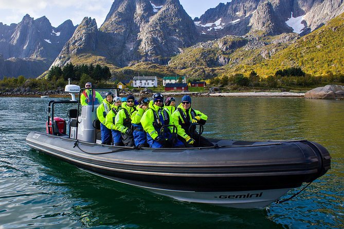 Sea Eagle Safari from Svolvær to Trollfjorden - Key things I’d watch for before you go