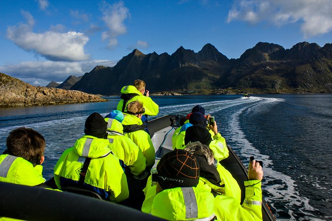 Sea Eagle Safari from Svolvær to Trollfjorden - Why this Sea Eagle Safari from Svolvær is built for real viewing