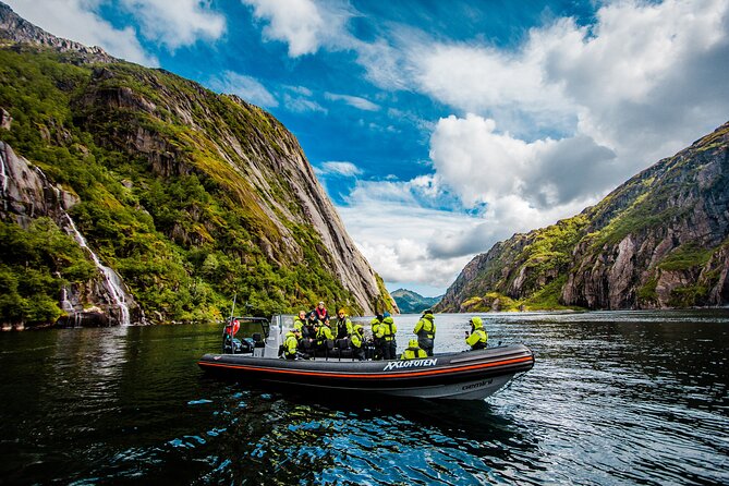 Sea Eagle Safari from Svolvær to Trollfjorden - Price and value: what $156.56 buys you in Lofoten