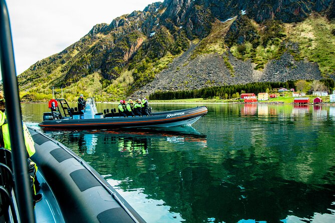 Sea Eagle Safari from Svolvær to Trollfjorden - Who this Sea Eagle RIB tour fits best (and who should skip it)