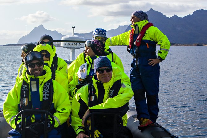 Sea Eagle Safari from Svolvær to Trollfjorden - Weather and cancellations: the reality check for open-water safaris