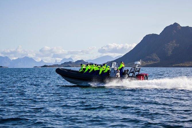 Sea Eagle Safari from Svolvær to Trollfjorden - Trollfjorden stop: a quick visit that’s made for photos