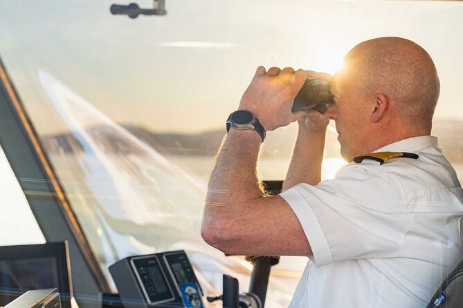 Sea Eagle Sunset Cruise - Wildlife Watching From Panoramic Windows: What to Expect