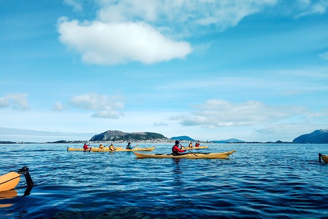 Sea Kayaking In Ålesund - Key highlights worth your time