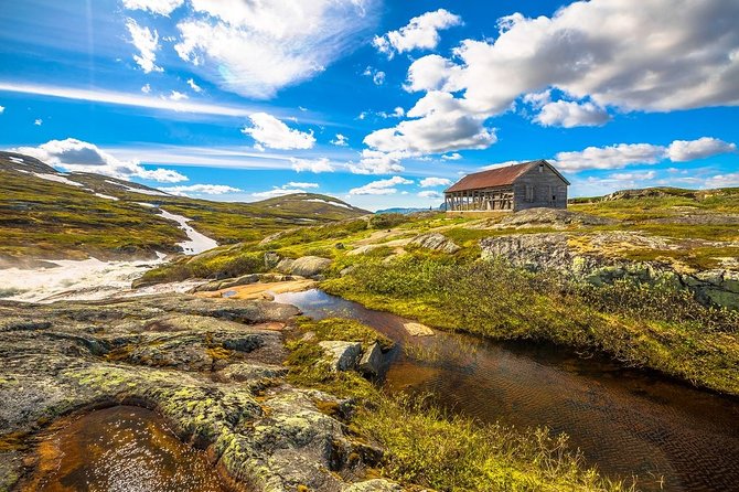 Self-Guided Bergen to Oslo Daytrip With Flamsbana & Fjordcruise - Price and Logistics: Is $431.77 Good Value?