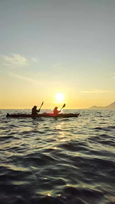 Senja: Guided Small Group Evening Kayaking Tour - Key takeaways before you paddle