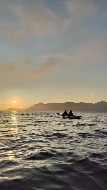 Senja: Guided Small Group Evening Kayaking Tour - How the guide finds wildlife and calm water without forcing it