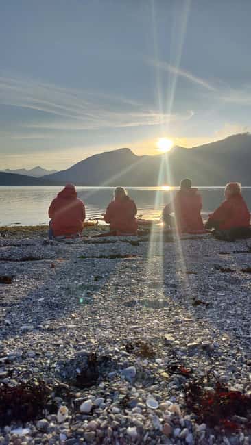 Senja: Guided Small Group Evening Kayaking Tour - Who should book this kayak tour, and who should skip it