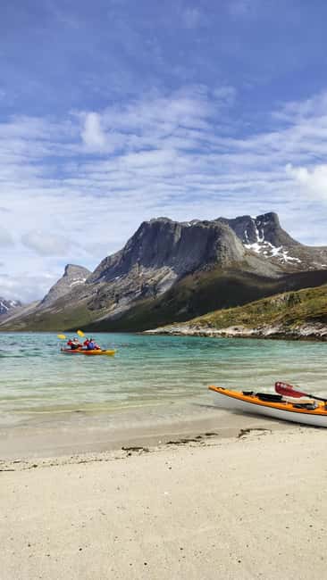 Senja: Guidet Fjord Kayaking in Ånderdalen Nationalpark - Wildlife spotting: a real reason to keep your eyes up