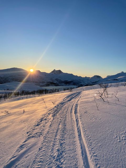 Senja Island: Winter Light Package Deal, 1 Day and 1 Night - Senja winter light package: the real rhythm of 36 hours