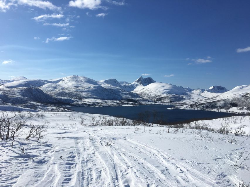 Senja Island: Winter Light Package Deal, 1 Day and 1 Night - Camp Fjordbotn dinner and cabins: warm up, then slow down