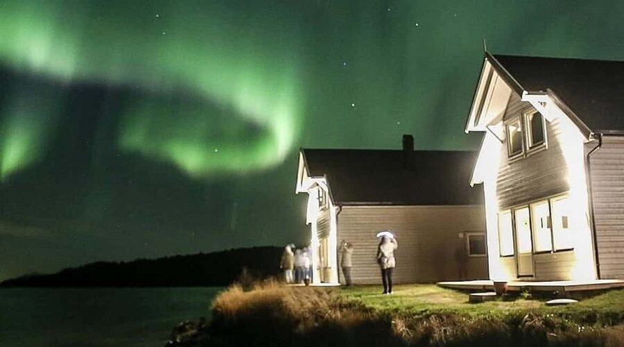 Senja: Wood-Fired Sauna Barrel - The Fjord Sea Dip, Swimwear, and Timing Your Cold Break